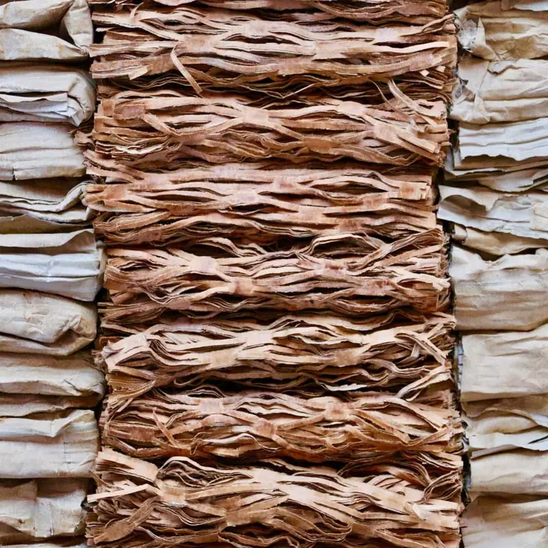 A cardboard composition by Jean-Michel Buche, France 2000s. image 3